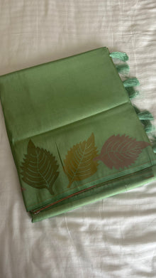  LEAF PSITA GREEN 6